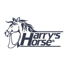 Harry-s Horse